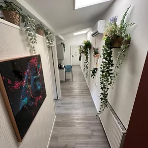 https://dea-dreams-marghera-43.it-lombardy.com